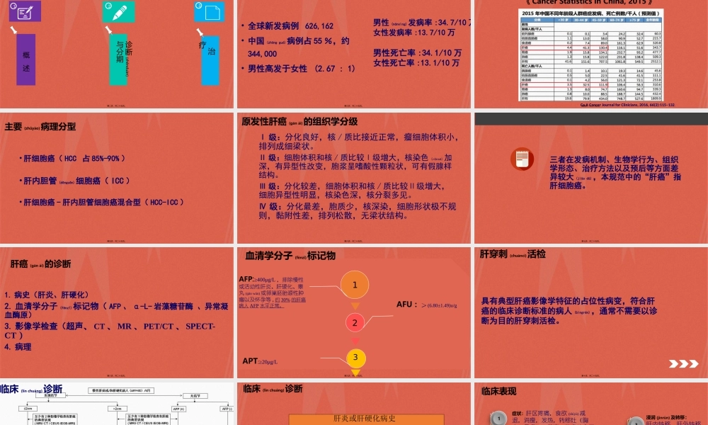 2022年医学专题—原发性肝癌诊疗规范(2017版解读).pptx