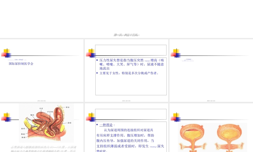 2022年医学专题—各种抗尿失禁术式的特点及复发处理.ppt