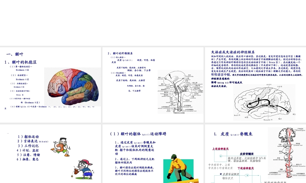 2022年医学专题—大脑额叶的功能概要.ppt