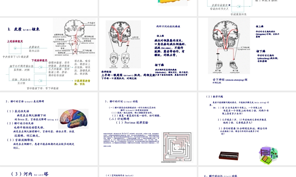 2022年医学专题—大脑额叶的功能概要.ppt