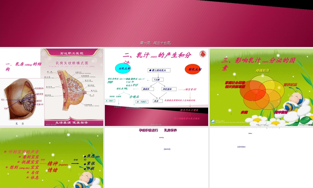 2022年医学专题—孕妇学校：母乳喂养指导.ppt