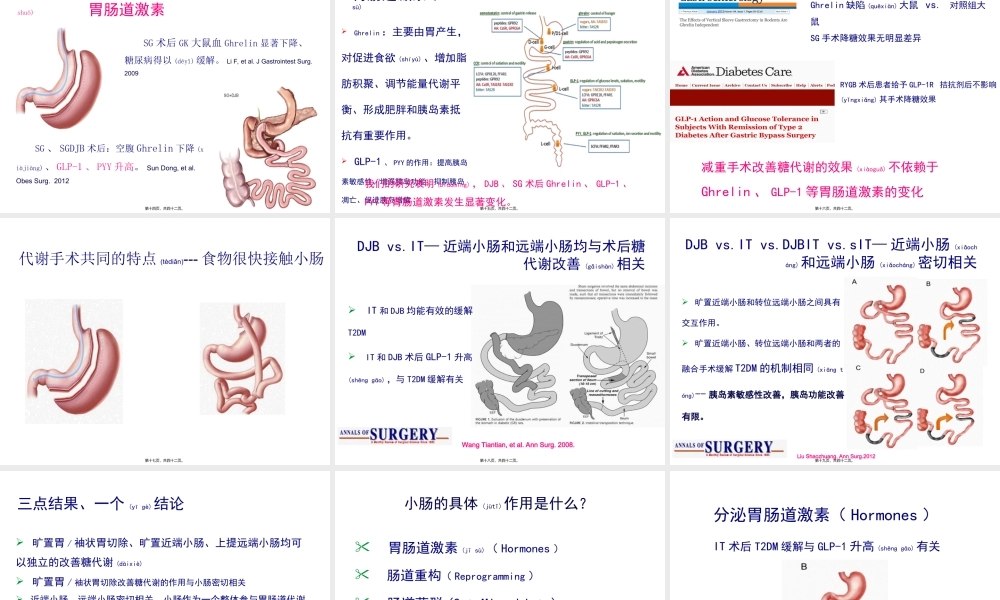 2022年医学专题—小肠在减重手术改善糖代谢中的作用和机制--2016.06.30-修改.ppt