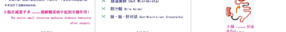 2022年医学专题—小肠在减重手术改善糖代谢中的作用和机制--2016.06.30-修改.ppt