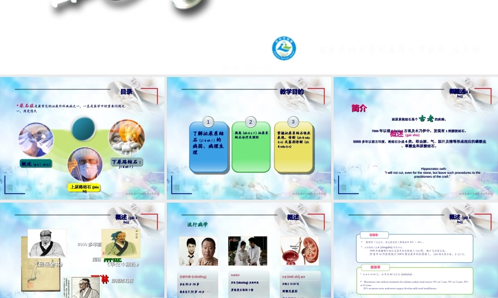 2022年医学专题—尿石症讲稿-庄志明.ppt