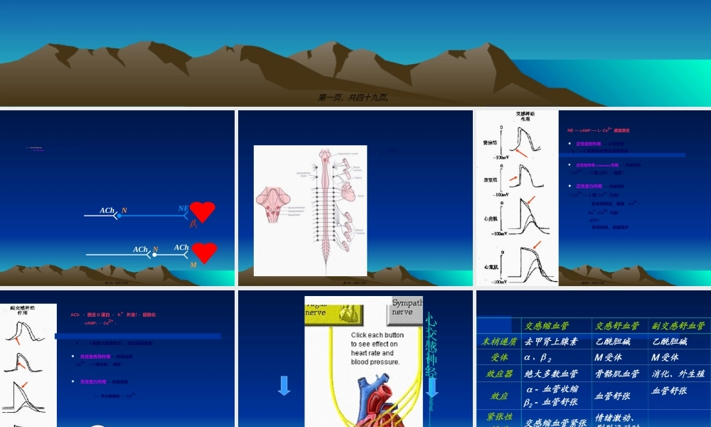2022年医学专题—循环生理-心血管活动的调节.ppt