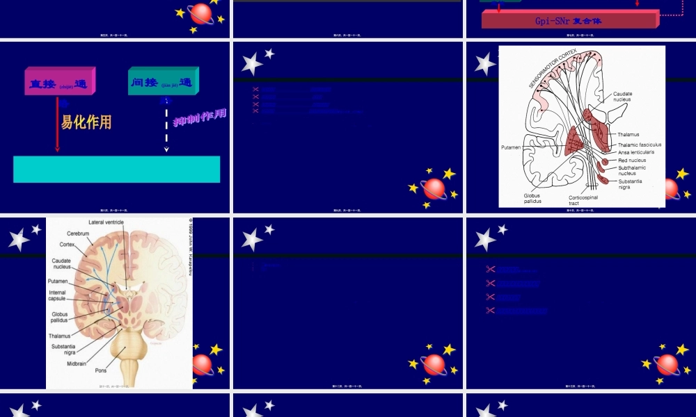 2022年医学专题—帕金森氏病讲座[1](1).ppt