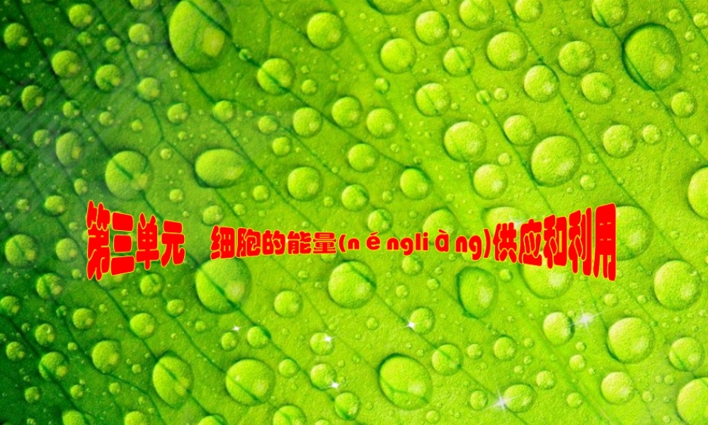 2022年医学专题—第三单元第8讲细胞的能量供应和利用(1).ppt