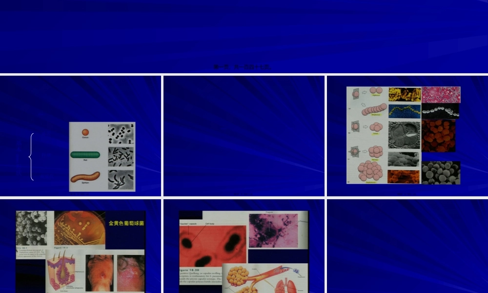 2022年医学专题—第一章-细菌学概论(1).ppt