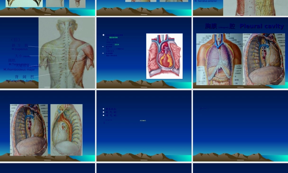 2022年医学专题—胸部损伤(第8版-2015)(1).ppt