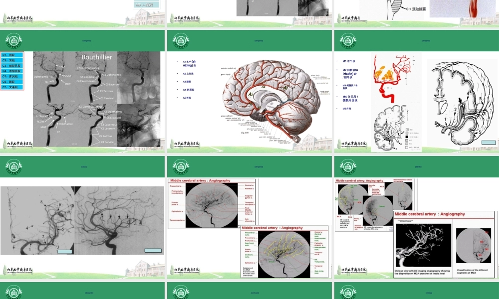 2022年医学专题—穿支动脉梗死(1).ppt