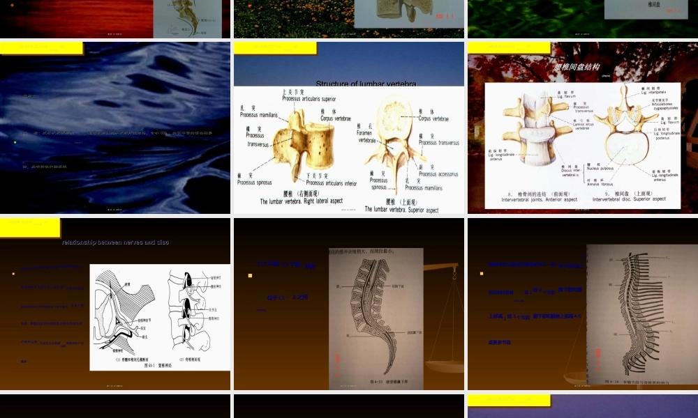 2022年医学专题—椎间盘突出症(1).ppt
