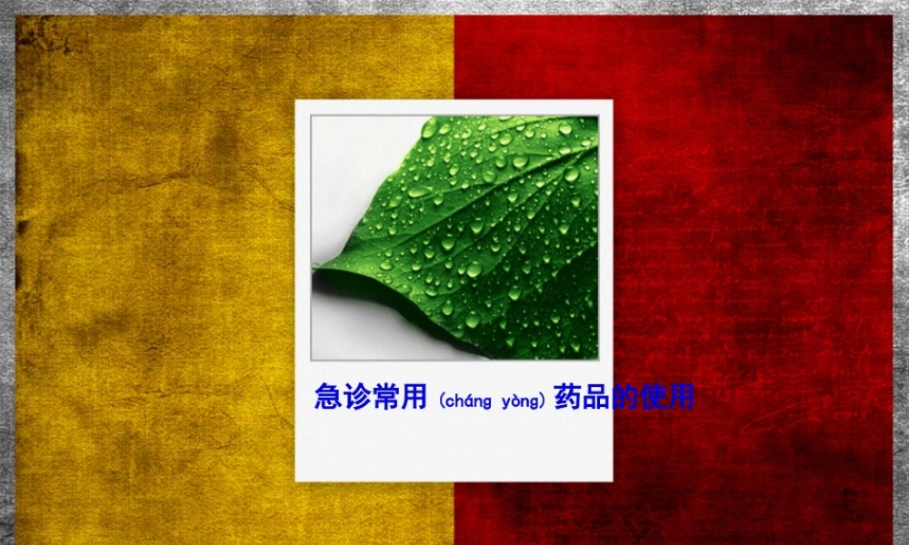 2022年医学专题—急诊常用药品的使用.ppt