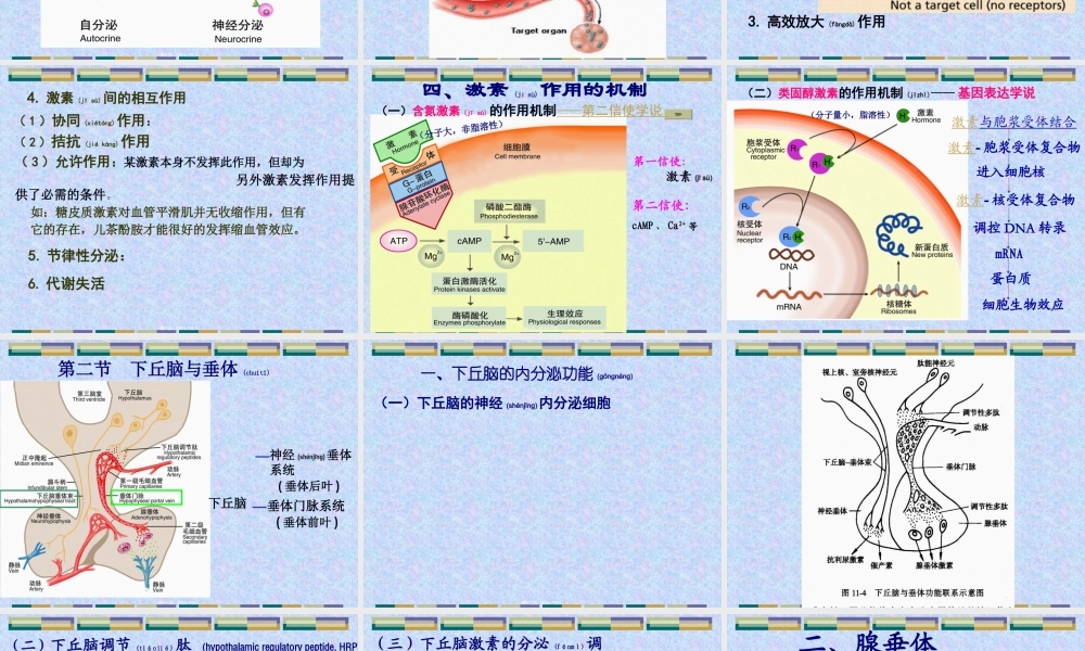 2022年医学专题—感觉器官-内分泌系统.ppt