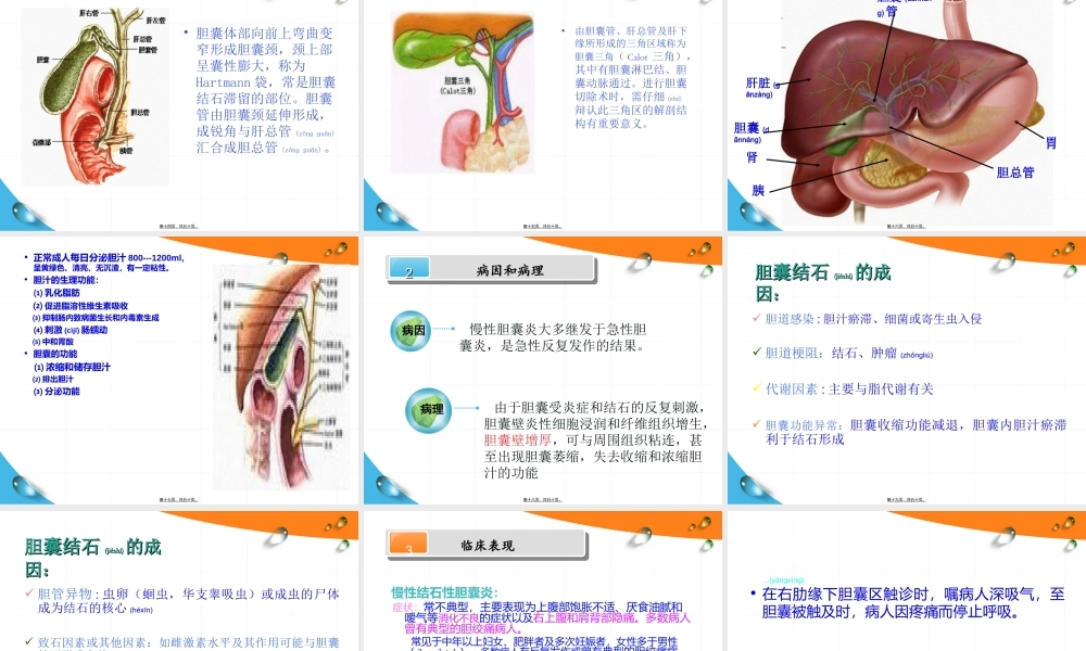 2022年医学专题—慢性结石性胆囊炎.ppt