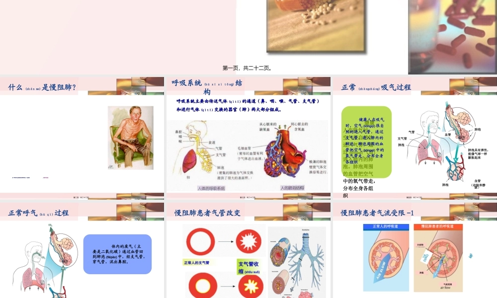 2022年医学专题—慢阻肺-呼吸衰竭.ppt