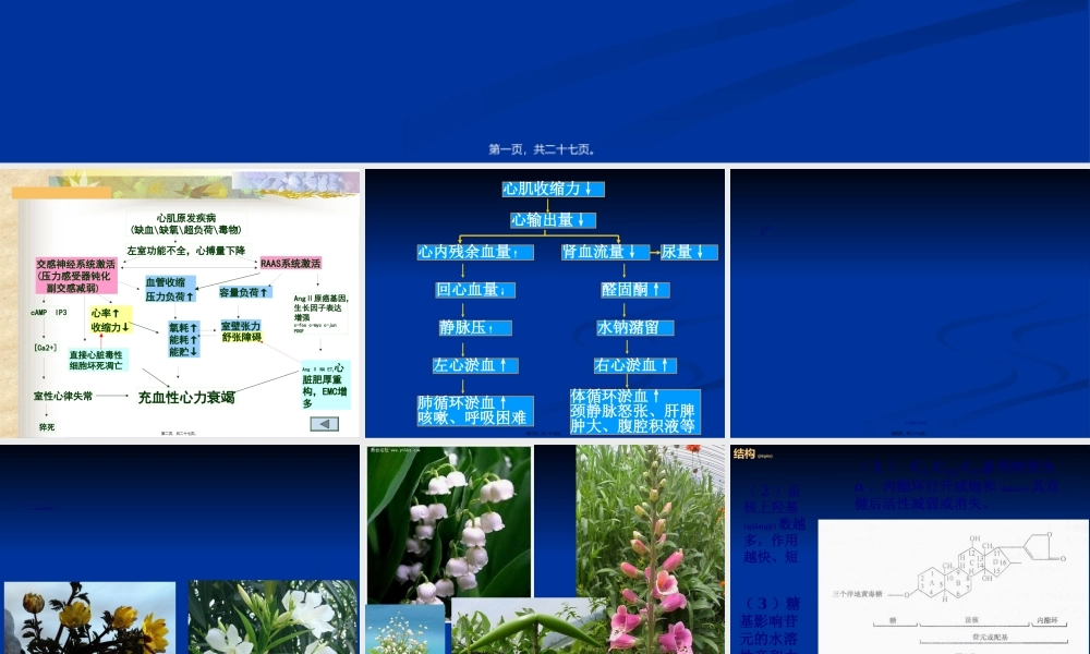 2022年医学专题—抗心衰药.ppt