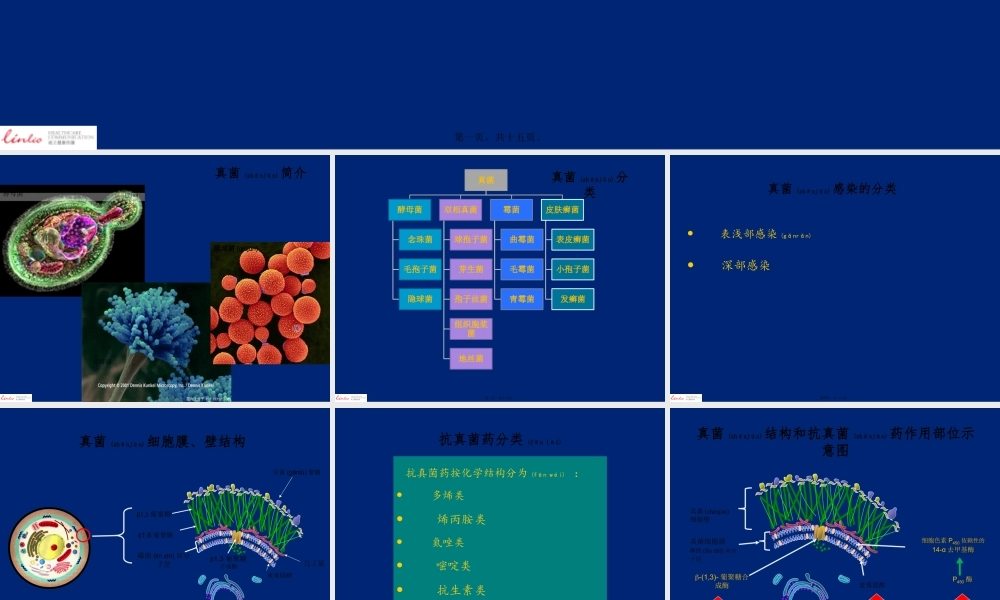 2022年医学专题—抗真菌药分类和作用机制.pptx