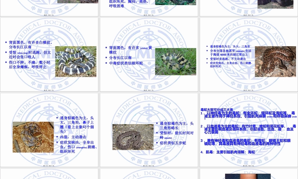2022年医学专题—毒蛇咬伤的急救.ppt