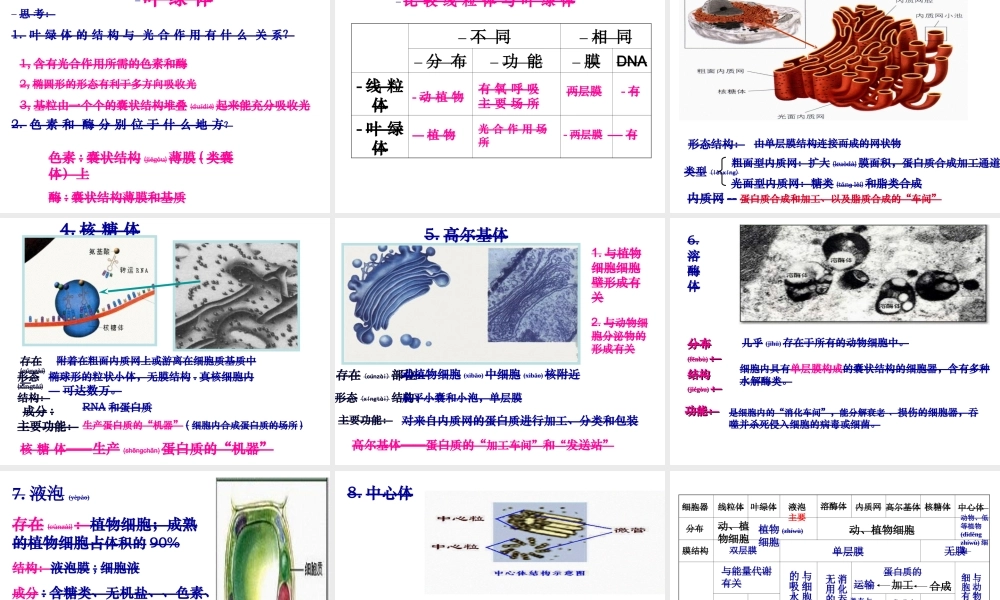 2022年医学专题—液泡溶酶体等细胞质基质.ppt