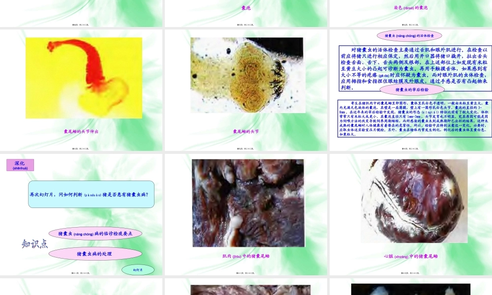 2022年医学专题—猪囊虫病的检疫.ppt