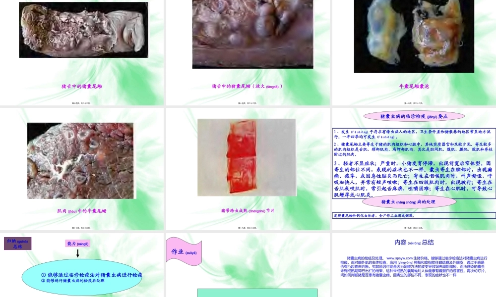 2022年医学专题—猪囊虫病的检疫.ppt