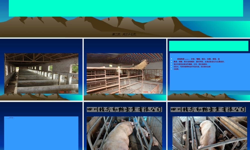 2022年医学专题—猪无名高热综合症的思考20073514934319.ppt