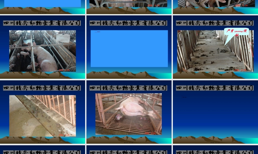 2022年医学专题—猪无名高热综合症的思考20073514934319.ppt