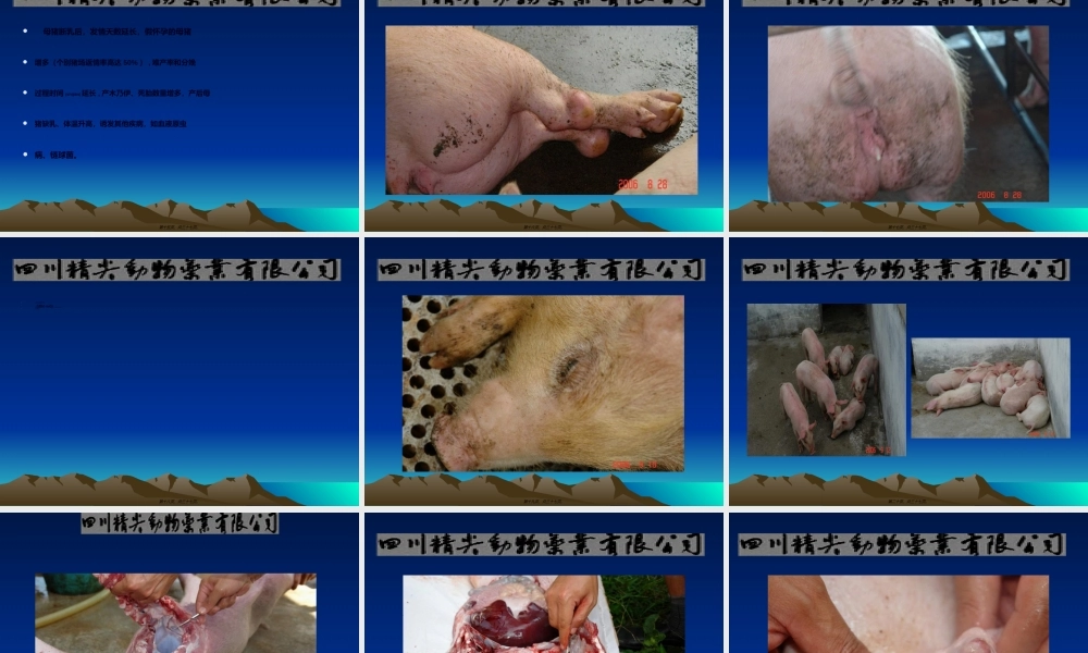 2022年医学专题—猪无名高热综合症的思考20073514934319.ppt