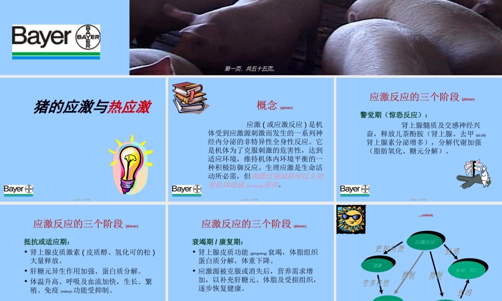 2022年医学专题—猪的高温应激及营养措施.ppt