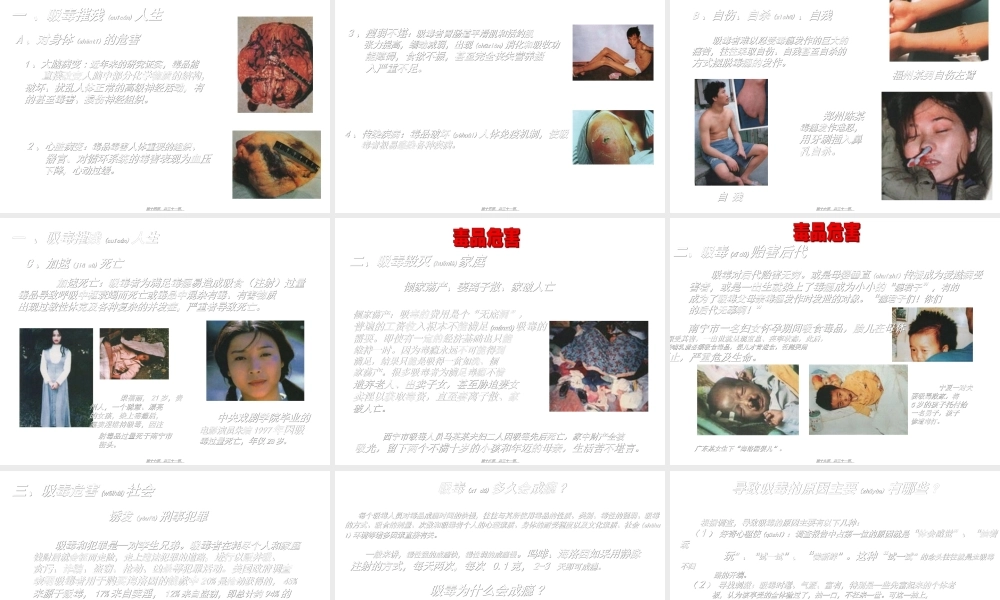 2022年医学专题—珍爱生命、拒绝毒品完整版素材.ppt