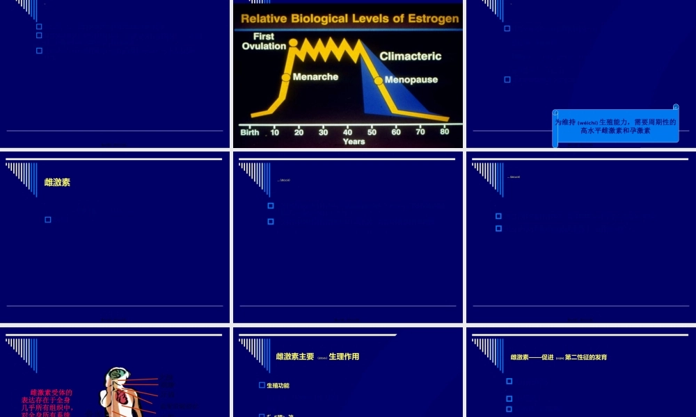 2022年医学专题—生殖内分泌基础.ppt