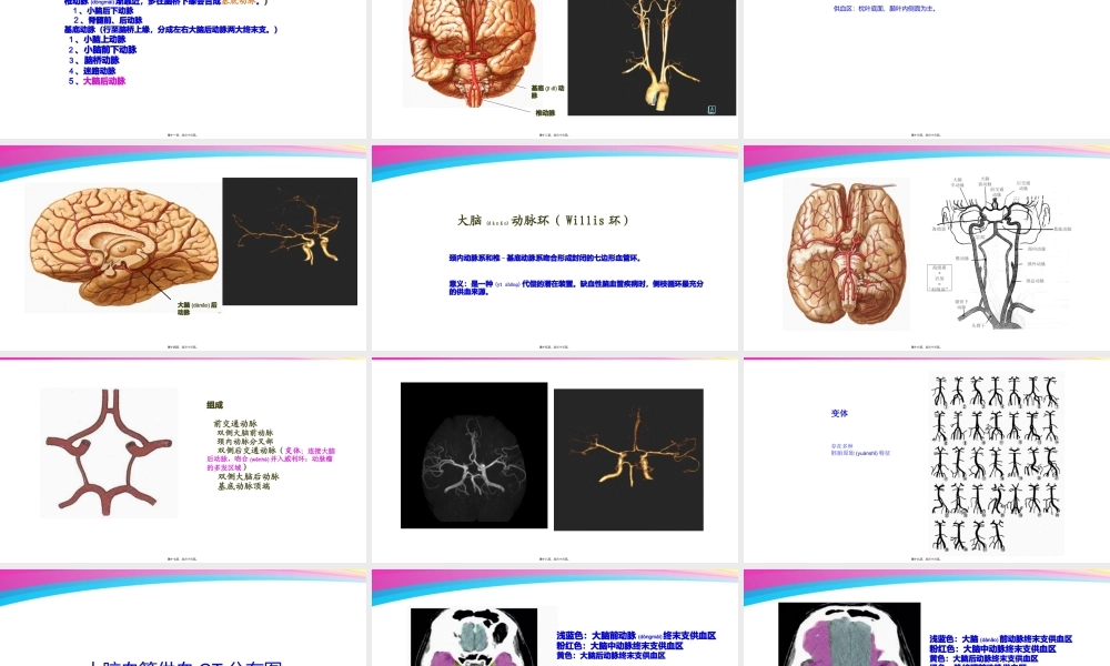 2022年医学专题—神经系统(二)脑动脉血管.pptx
