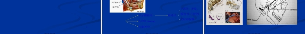 2022年医学专题—神经阻滞在疼痛科应用.ppt