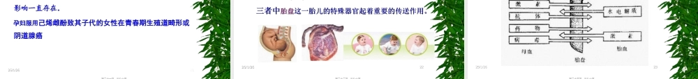 2022年医学专题—章-妊娠和哺乳期合理用药.ppt