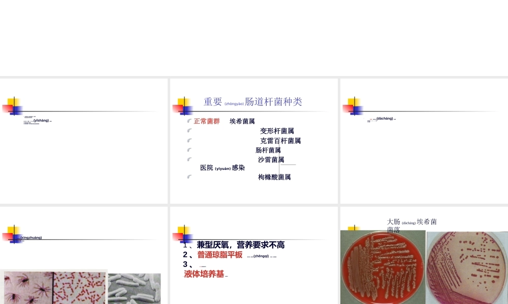 2022年医学专题—第10章--肠杆菌科.ppt