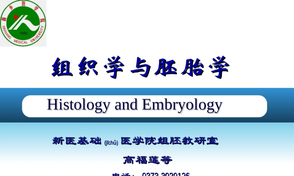 2022年医学专题—第17章-泌尿系统.ppt