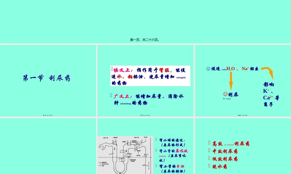 2022年医学专题—第28章-利尿药和脱水药.ppt