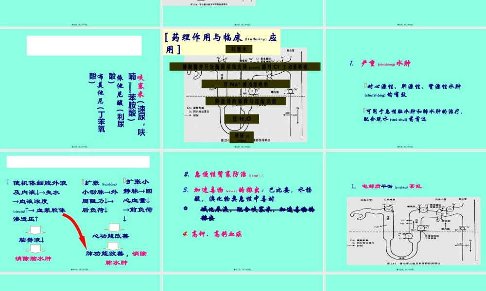 2022年医学专题—第28章-利尿药和脱水药.ppt