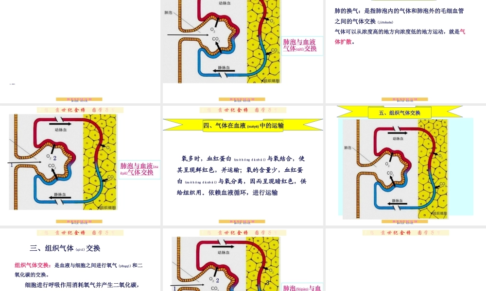 2022年医学专题—第2节--人体细胞获得氧气的过程.ppt