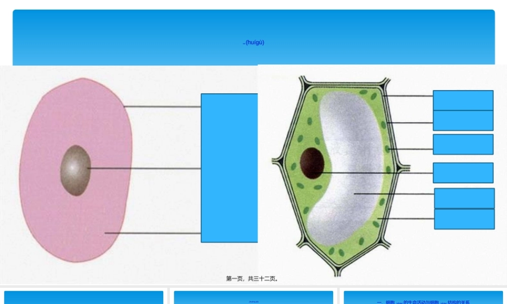 2022年医学专题—第2节细胞是生命活动的结构和功能基本单位.讲述.ppt