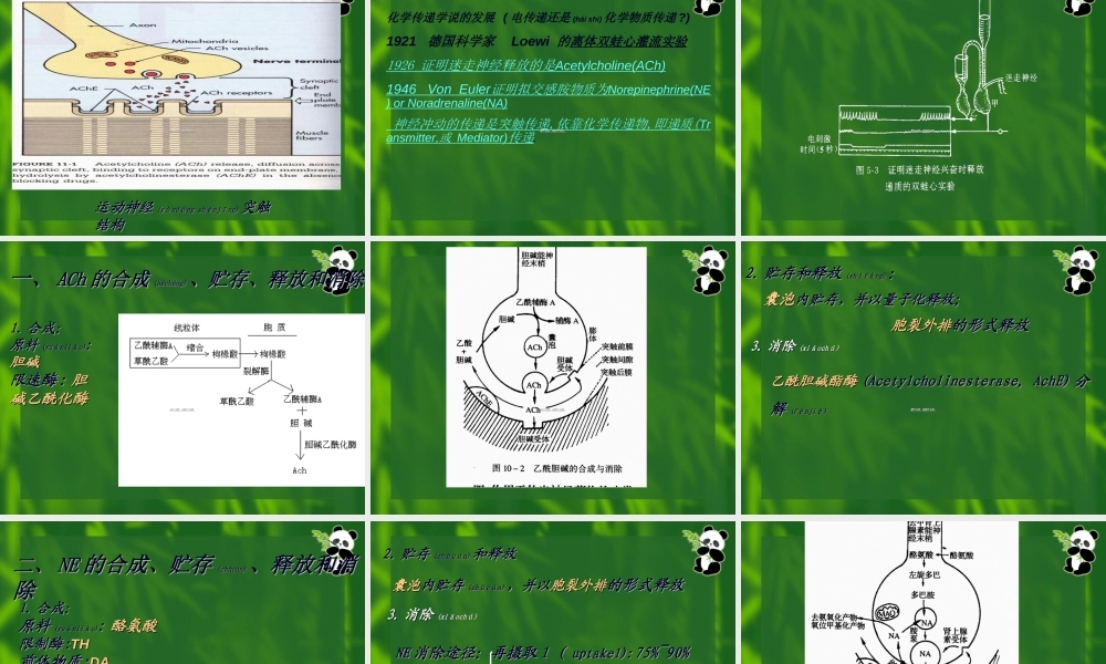 2022年医学专题—第5章20110920-传出神经系统药.ppt