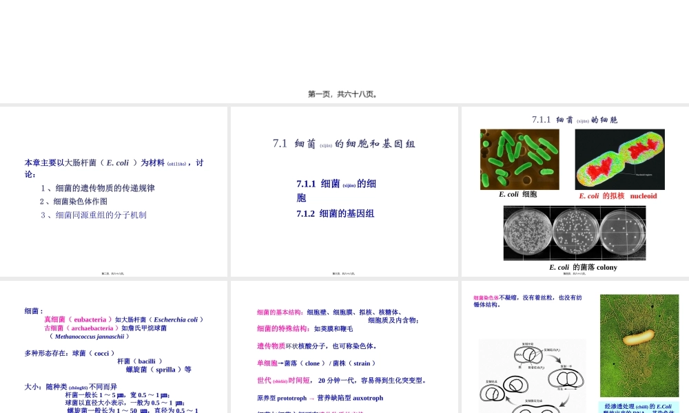 2022年医学专题—第7章-细菌的遗传分析.ppt