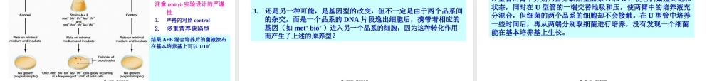 2022年医学专题—第7章-细菌的遗传分析.ppt