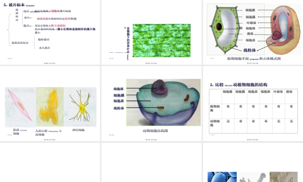 2022年医学专题—第一节-细胞是生命活动的基本单位.ppt