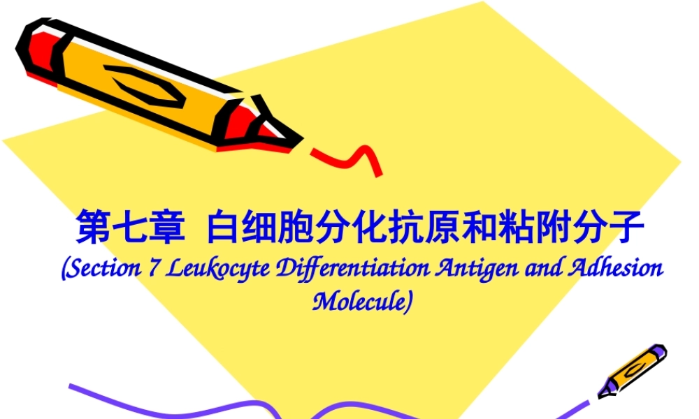 2022年医学专题—第七章-白细胞分化抗原和黏附分子(双语).ppt