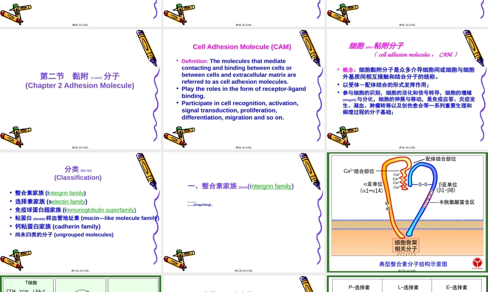 2022年医学专题—第七章-白细胞分化抗原和黏附分子(双语).ppt