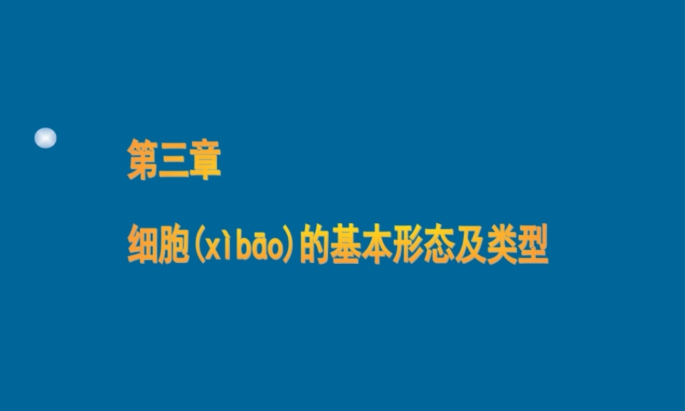 2022年医学专题—第三章细胞的基本形态及类型分解.ppt
