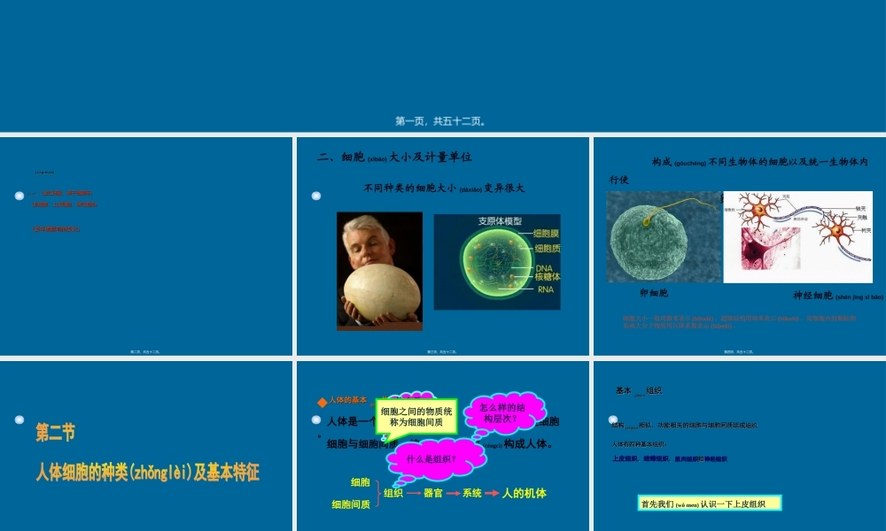 2022年医学专题—第三章细胞的基本形态及类型分解.ppt