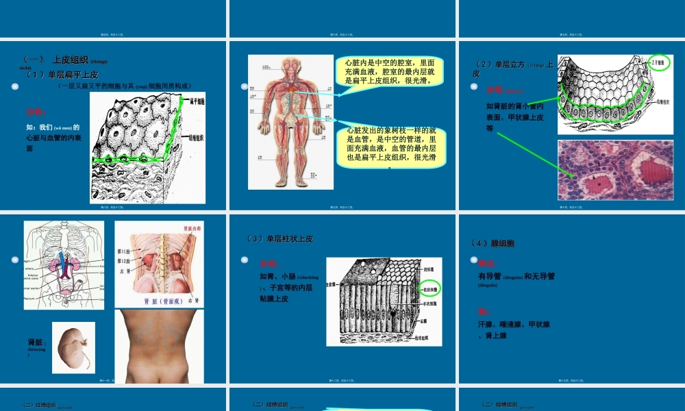 2022年医学专题—第三章细胞的基本形态及类型分解.ppt
