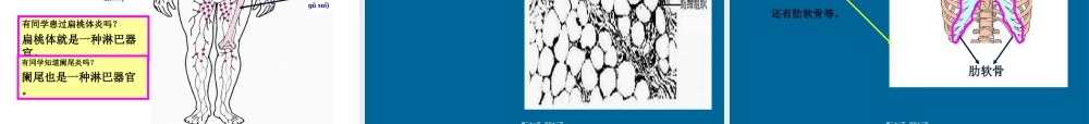 2022年医学专题—第三章细胞的基本形态及类型分解.ppt